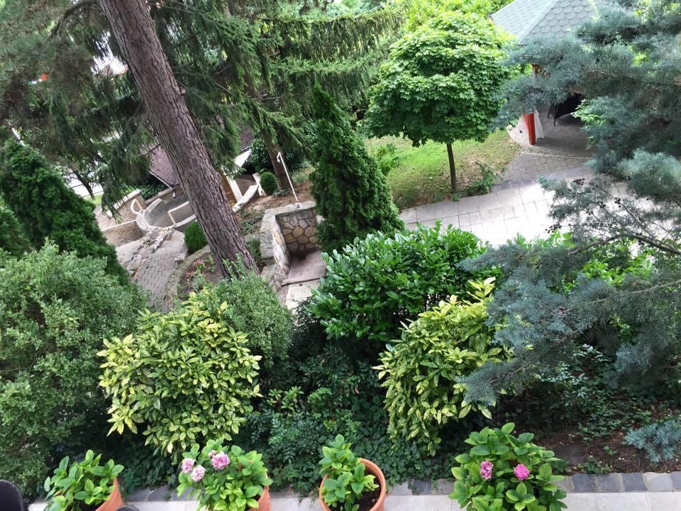 Vadvirag Panzio Penzion